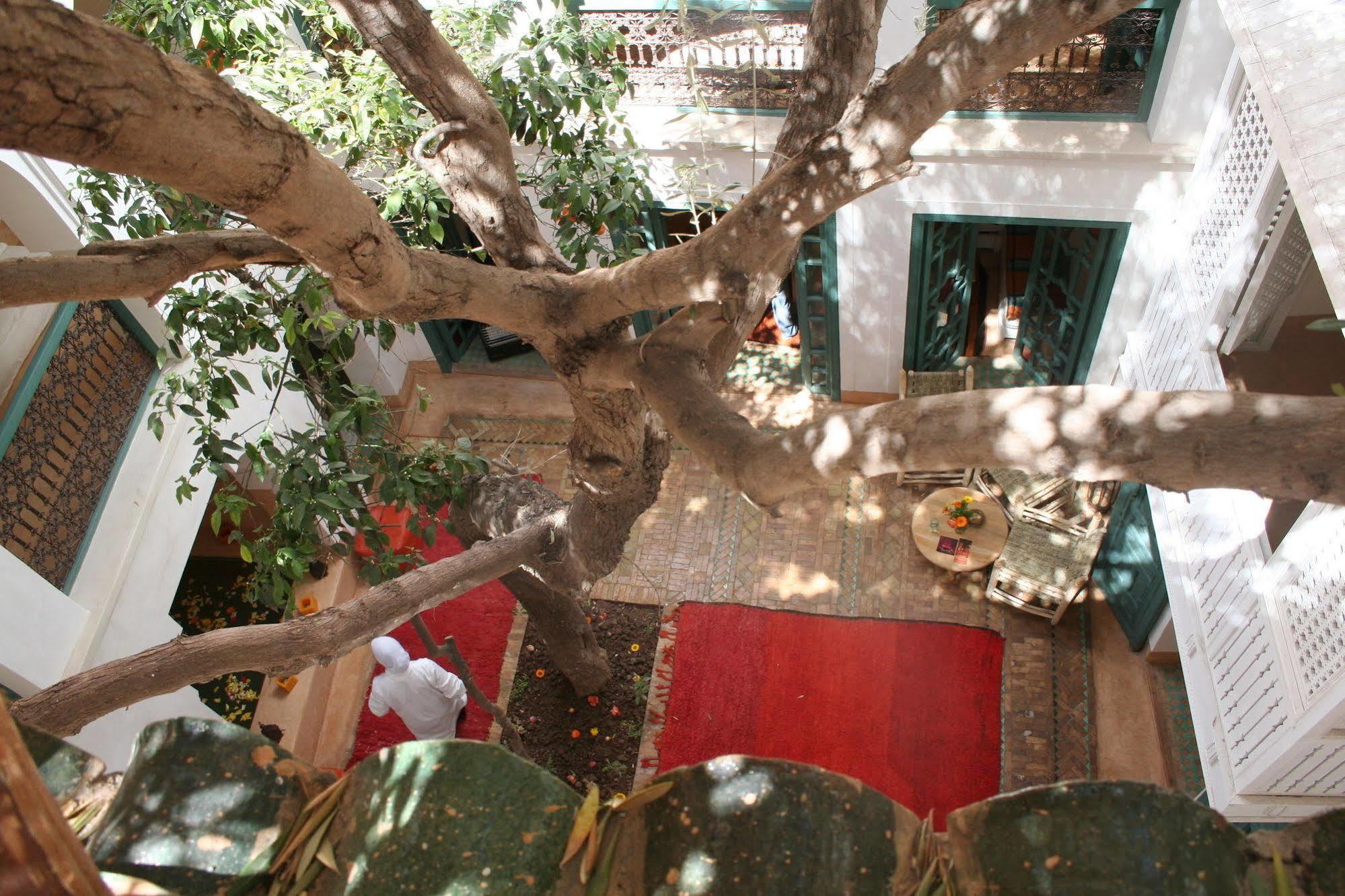 Riad Dar Zitouna en Exclusivité Marrakesh Extérieur photo